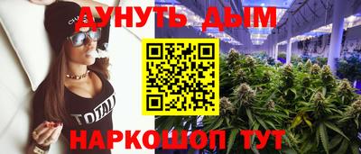 Альфа ПВП Сланцы